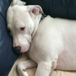 Meet your Posher, Kylie